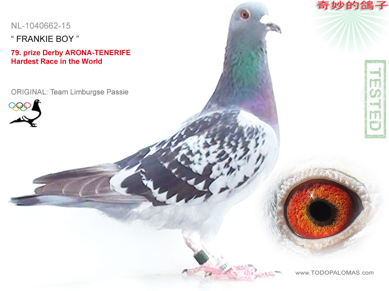 79. prize Derby ARONA-TENERIFE - Hardest Race in the World