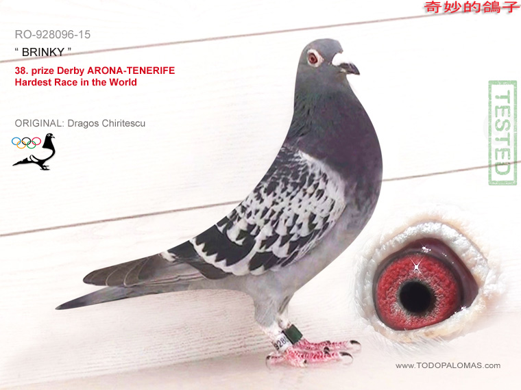 38. prize Derby ARONA-TENERIFE - Hardest Race in the World