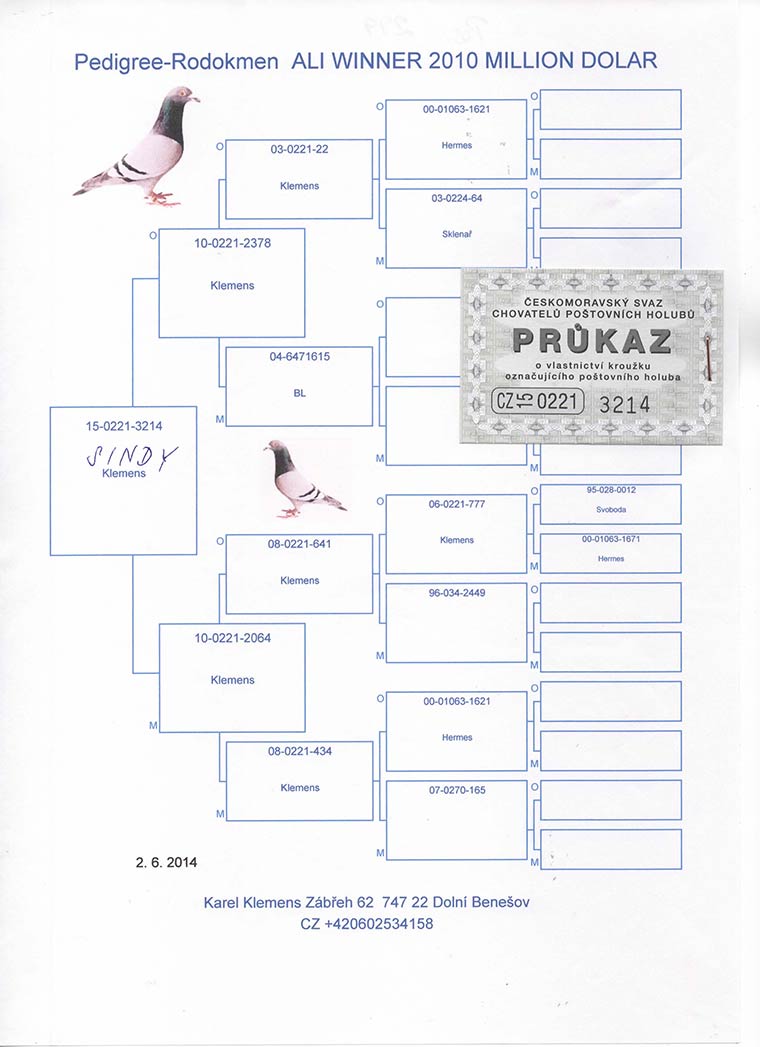 299. prize Derby ARONA-TENERIFE - Hardest Race in the World
