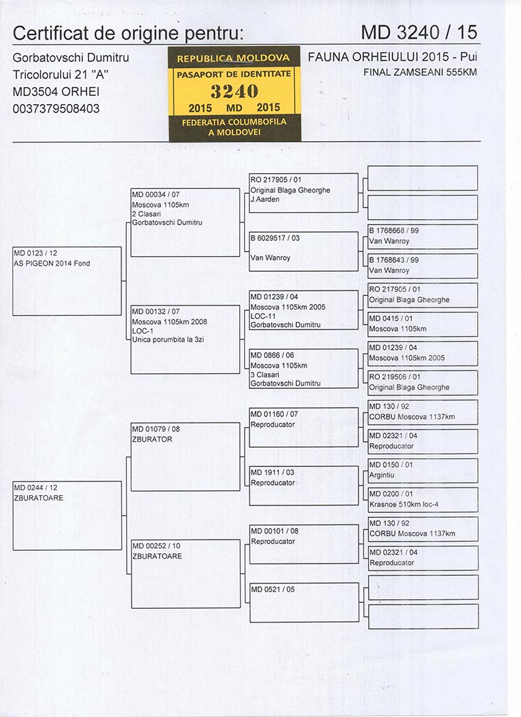 216. prize Derby ARONA-TENERIFE - Hardest Race in the World