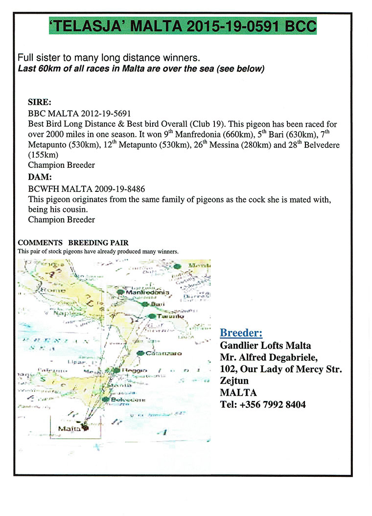 51. prize Derby ARONA-TENERIFE - Hardest Race in the World
