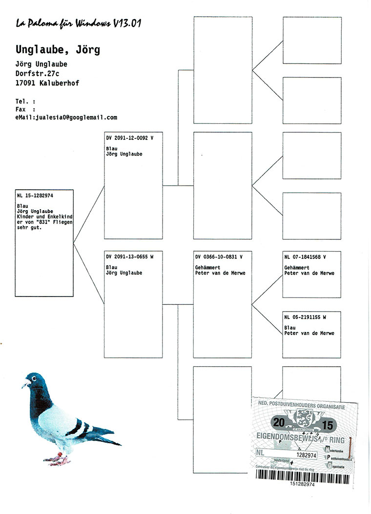 338. prize Derby ARONA-TENERIFE - Hardest Race in the World