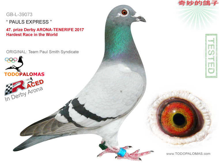 47. prize Derby ARONA-TENERIFE 2017 - Hardest Race in the World
