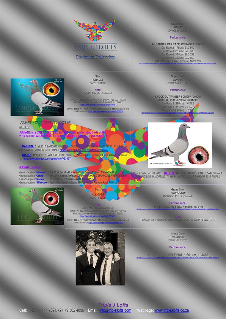 The Brother and Sister achievements in  the 2017 SAMDPR. One 3rd (4th) overall  best bird for 2017. Derby ARONA-TENERIFE 2017 - Hardest Race in the World