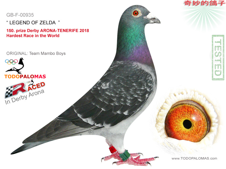150. prize Derby ARONA-TENERIFE 2018 - Hardest Race in the World