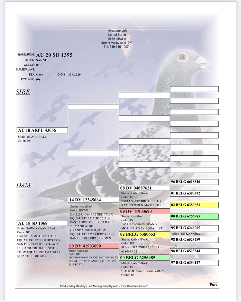Late Returned Derby ARONA-TENERIFE 2021 - Hardest Race in the World