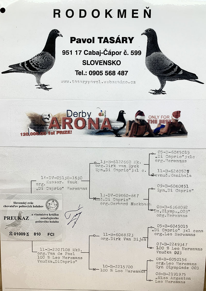 Late Returned Derby ARONA-TENERIFE 2021 - Hardest Race in the World